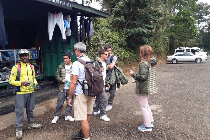 Mountain Kilimanjaro Day Hike - The descent back to the Main Gate: quick relief, real satisfaction
