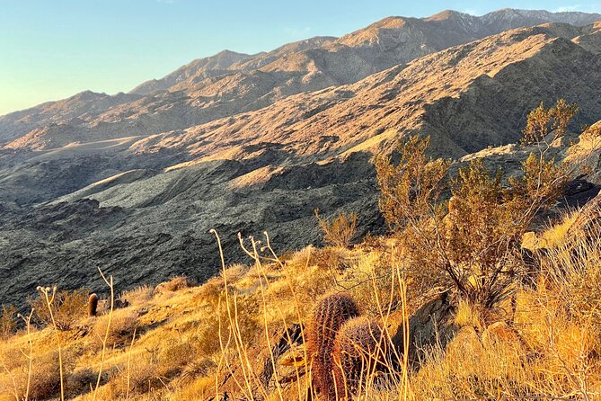 Mountain Sunrise Hike and Meditation in Palm Springs - Key highlights you can plan around