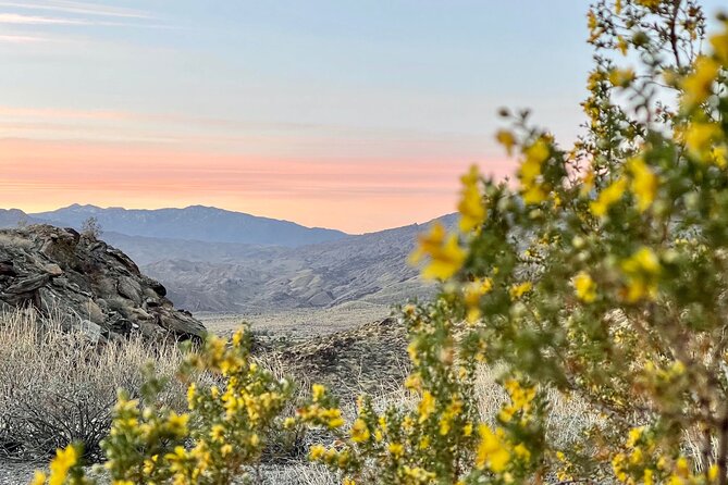 Mountain Sunrise Hike and Meditation in Palm Springs - Who should book this (and who should rethink it)