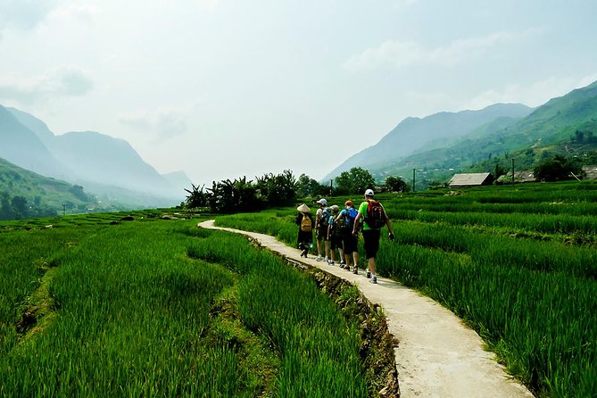 Mountain views & Rice Terraced Fields Hiking – 2D 1N - Day 1: Hang Da viewpoints, then Hau Thao with Black Hmong daily life