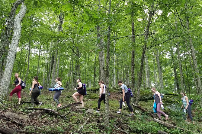 Mountaintop Yoga & Meditation Hike in Asheville - Practical Details You’ll Care About