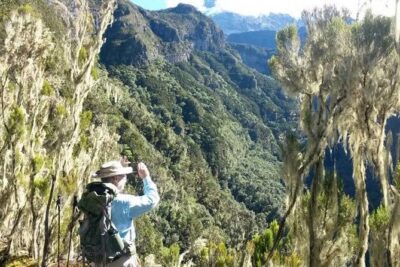 Mt Kilimanjaro Day Hike - Getting to Marangu Gate: the Moshi-to-trail transition that sets the tone