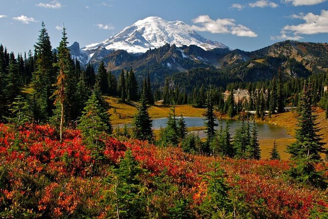 Mt. Rainier highlights - old forest, falls and glaciers - Mt. Rainier in One Day, With Real Time Outside