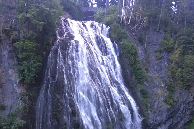 Mt. Rainier highlights - old forest, falls and glaciers - Longmire: Old-Growth Forest at Lower Elevation
