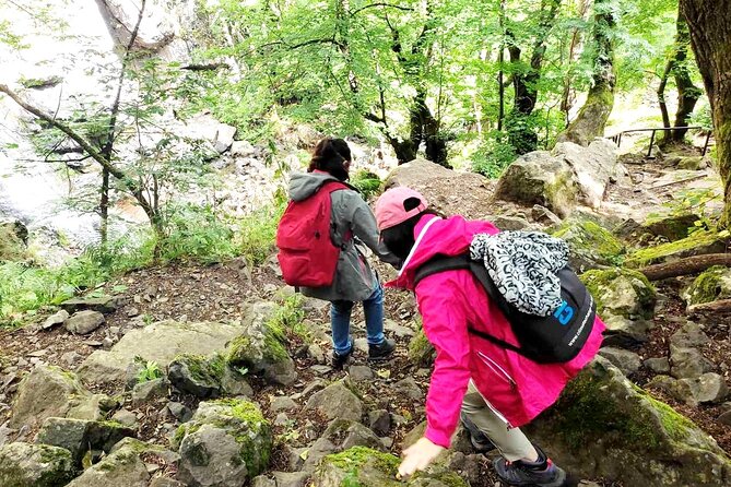 Mt. Vitosha and Boyana Waterfall Hiking Tour from Sofia - Key highlights worth planning for