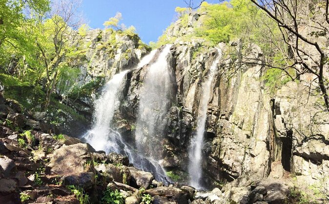 Mt. Vitosha and Boyana Waterfall Hiking Tour from Sofia - What You Get in This Vitosha + Boyana Full-Day Hike