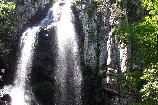 Mt. Vitosha and Boyana Waterfall Hiking Tour from Sofia - Boyana Waterfall: A One-Hour Cool-Down With Real Terrain