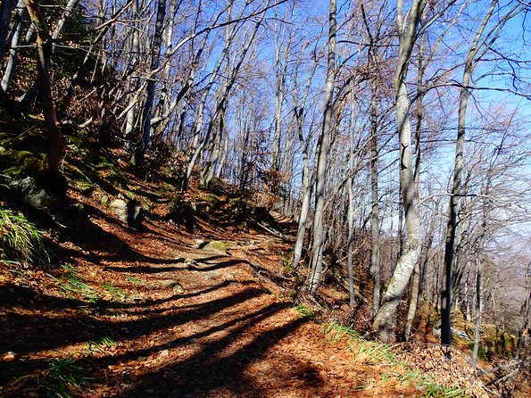 Mt. Vitosha and Boyana Waterfall Hiking Tour from Sofia - What to Bring: Warm Layers, Water, and Mountain-Smart Snacks
