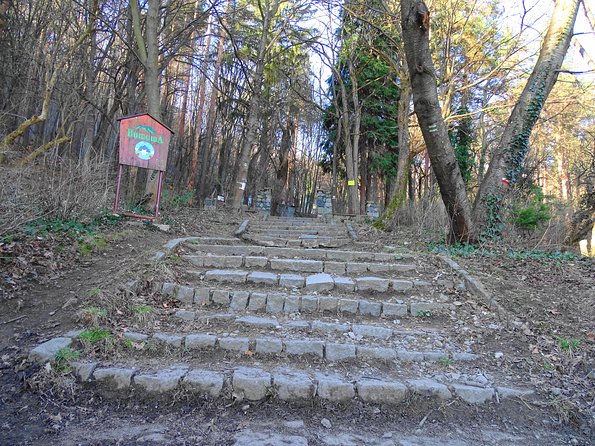 Mt. Vitosha and Boyana Waterfall Hiking Tour from Sofia - Who This Tour Suits Best (and Who Should Skip It)