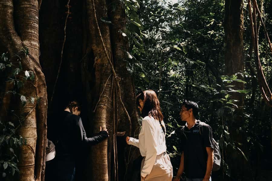 Munduk: Twin Lake Jungle Hike, Ulun Danu Temple, & Waterfall - Key Highlights You’ll Feel Fast