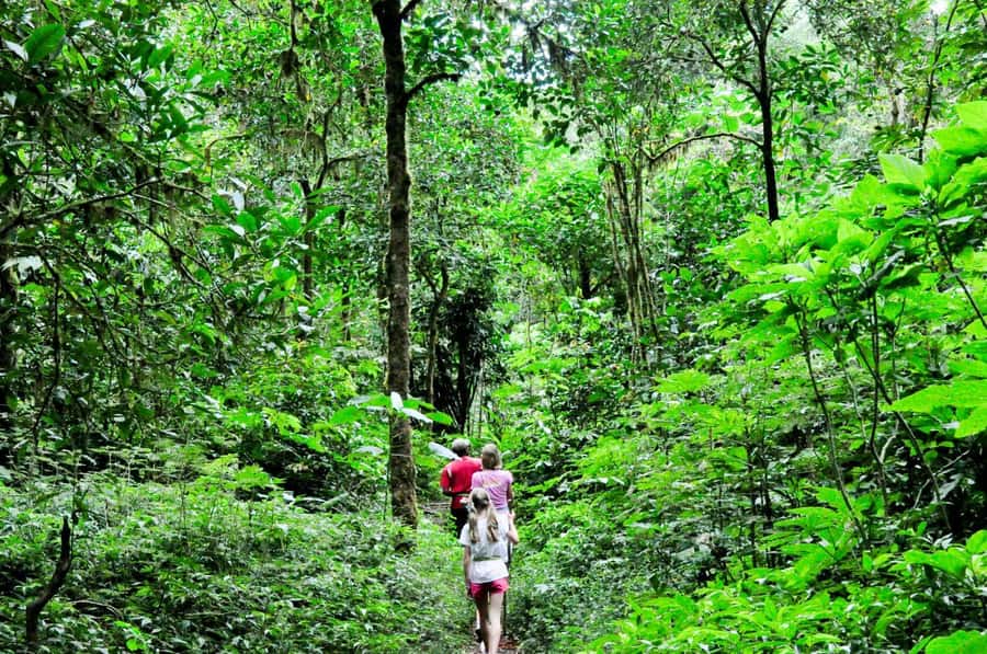 Munduk: Twin Lakes Jungle Hike with Lake Canoe and Waterfall - Lake Tamblingan plateau stops: photos, temples, and breathing room