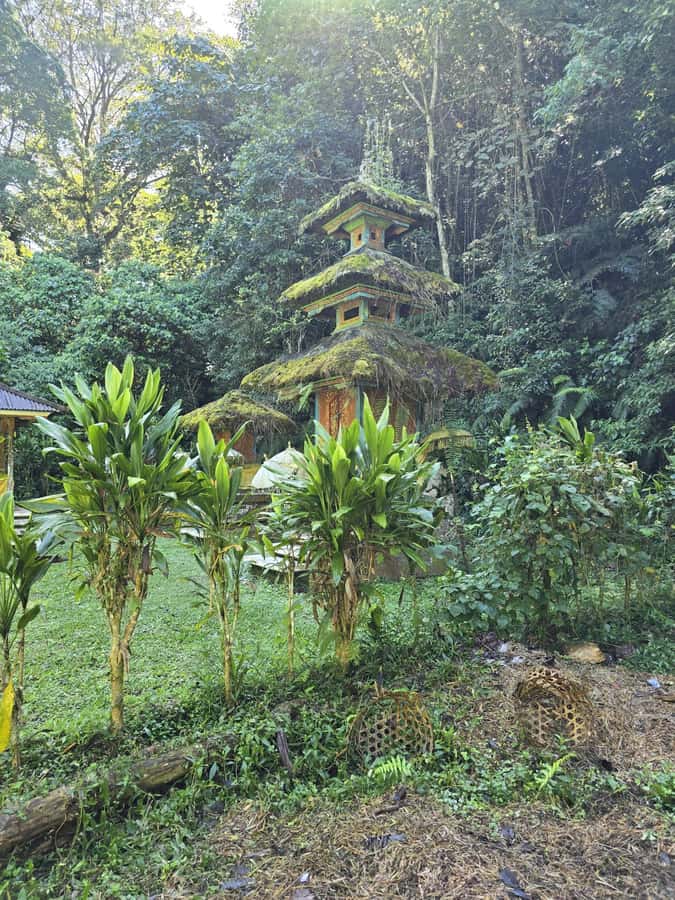 Munduk: Twin Lakes Jungle Hike with Lake Canoe and Waterfall - Lunch and drinks: what you get without hunting for food