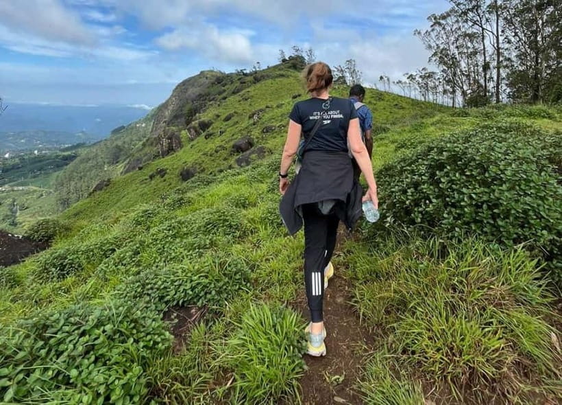 Munnar mountain hiking (Full day) - Starting at Munnar Info: where the day begins