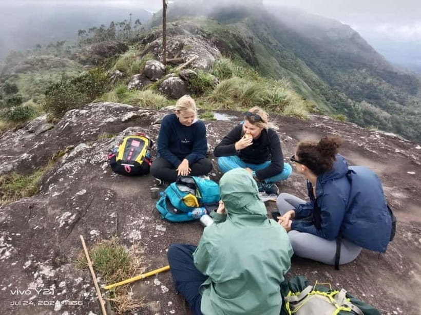 Munnar mountain hiking (Full day) - Beyond the tea: cardamom forests and the shola-woods feel