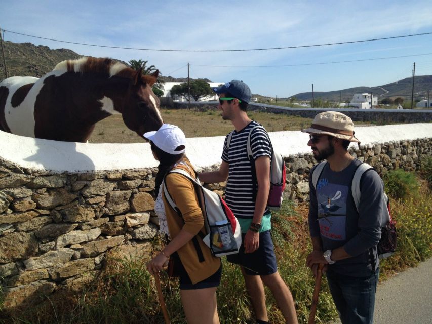 Mykonos Hiking Adventure - Mirsinis beach swim: the moment you came for