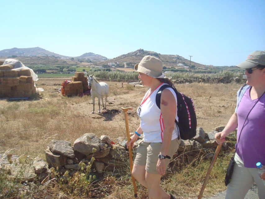 Mykonos Hiking Adventure - Option B and The Wind: viewpoints, horses, and a terrace lunch