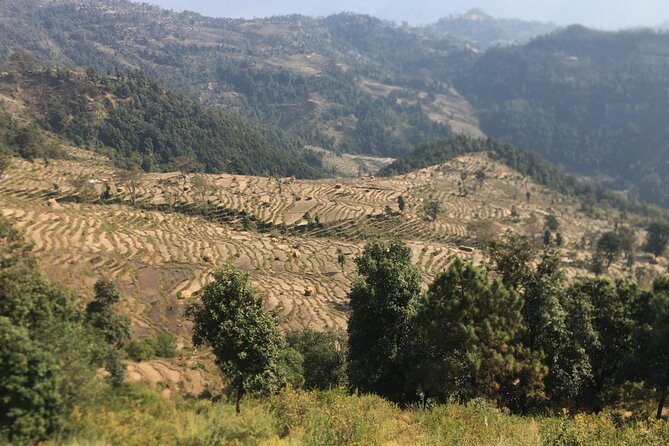 Nagarkot Full-Day Hiking Tour from Kathmandu - Why this Nagarkot day hike works better than a quick viewpoint stop