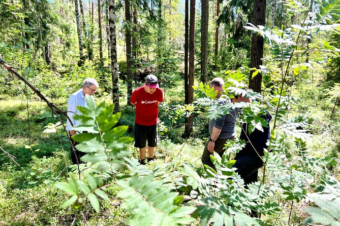 National Park Hike & Finnish Smoke Sauna Experience with Campfire Lunch - Smoke Sauna by the Lake: How the Heat Cycles Work