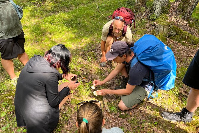 National Park Hike & Finnish Smoke Sauna Experience with Campfire Lunch - Small Group, Big Attention: Why Max 8 Matters