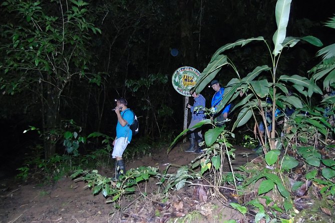 Nativos Corcovado Night Hike in DrakeBay - Key points at a glance