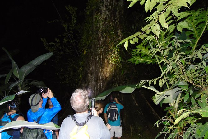 Nativos Corcovado Night Hike in DrakeBay - Night hiking on Rio Agujitas: what makes this Corcovado-area walk special