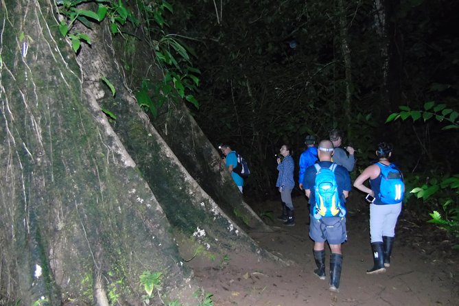 Nativos Corcovado Night Hike in DrakeBay - Your guide’s role: turning random dark into real animal sightings