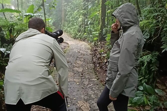 Nature Tour in the Monteverde Cloud Forest - The cloud forest hike: moss, trees, and your guide’s nonstop search