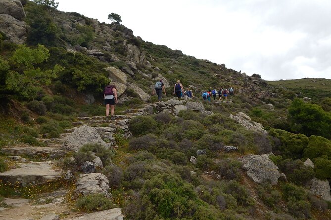 Naxos: Hike to the Top of the Cyclades - Mount Zas - Trail Stats: how hard is the walk to the top of Zas?