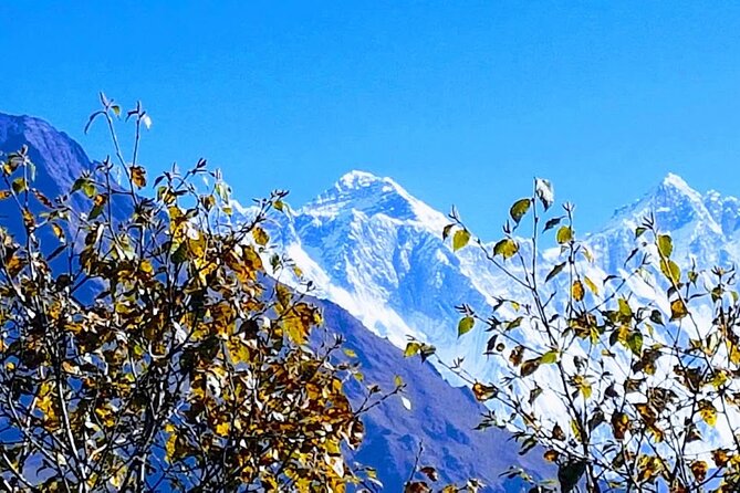 Nepal Discovery Tour: Heritage Sites & Scenic Hill Easy Hike - Day 2 to Day 5 in Motion: How the Easy Trek Actually Works
