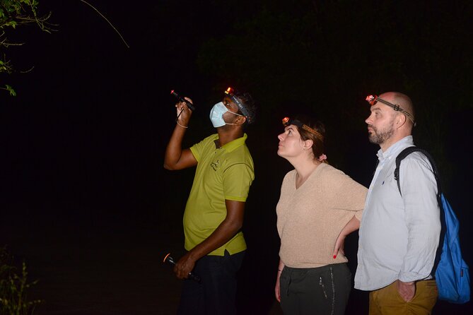 Night Hike to see Elusive & Rare Loris in Sigiriya - Pidurangala at night: a different side of Sigiriya