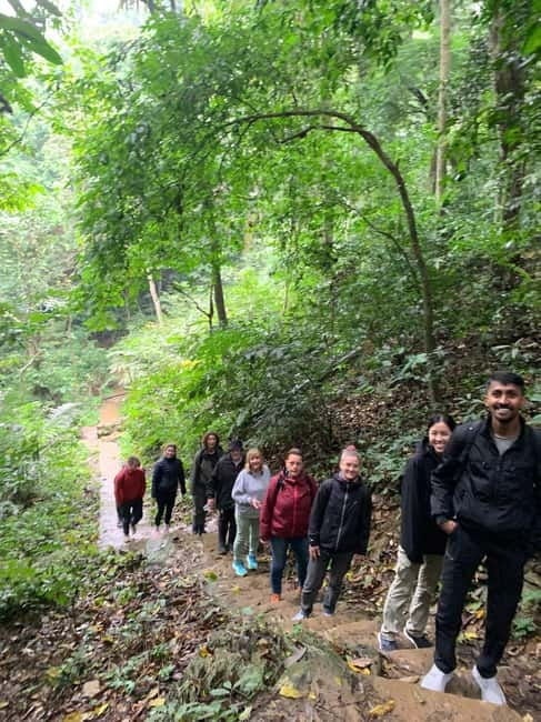 Ninh Binh: Cuc Phuong Jungle Hike & Wildlife Day Trip - The wildlife factor: how to set expectations for primates and jungle life