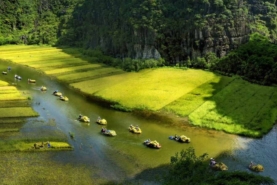 Ninh Binh: Hoa Lu, Trang An and Mua Caves Hiking Day Trip - Price and Logistics: What $43 Covers and What You Should Bring
