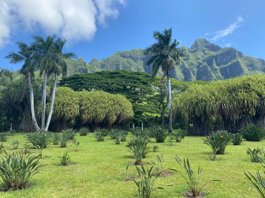 Oahu: Diamond Head Crater Hike and North Shore Experience - Dole Plantation in 45 Minutes: Pineapple Garden and Dole Whip