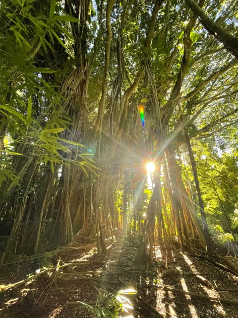 Oahu: Hidden Hawaii Waterfall Hike and Beach Tour - Key highlights at a glance