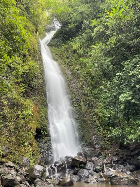Oahu: Hidden Hawaii Waterfall Hike and Beach Tour - Likeke Falls: the hike that gives you waterfall payoff without the long haul