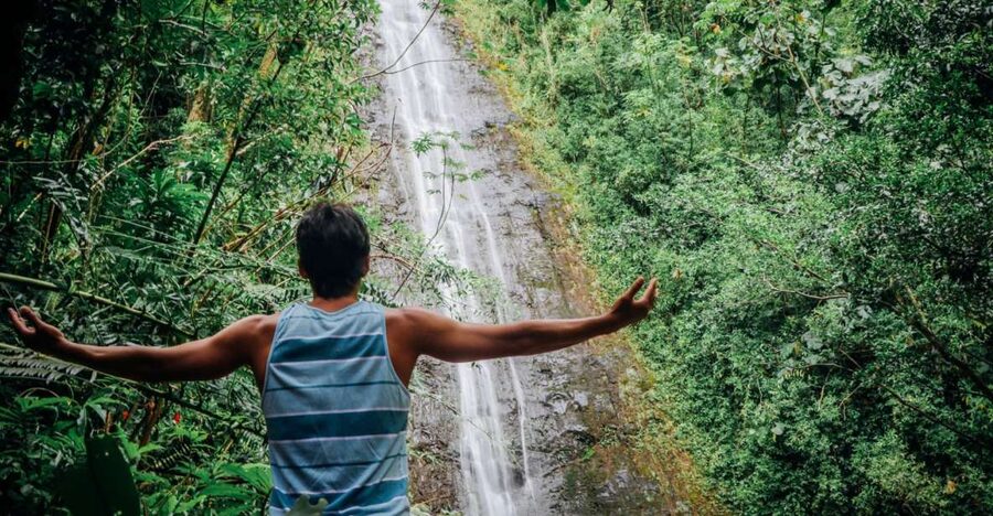 Oahu: Manoa Falls Waterfall Hike with Lunch and Transfers - Getting There From Waikiki Without Wasting Your Day