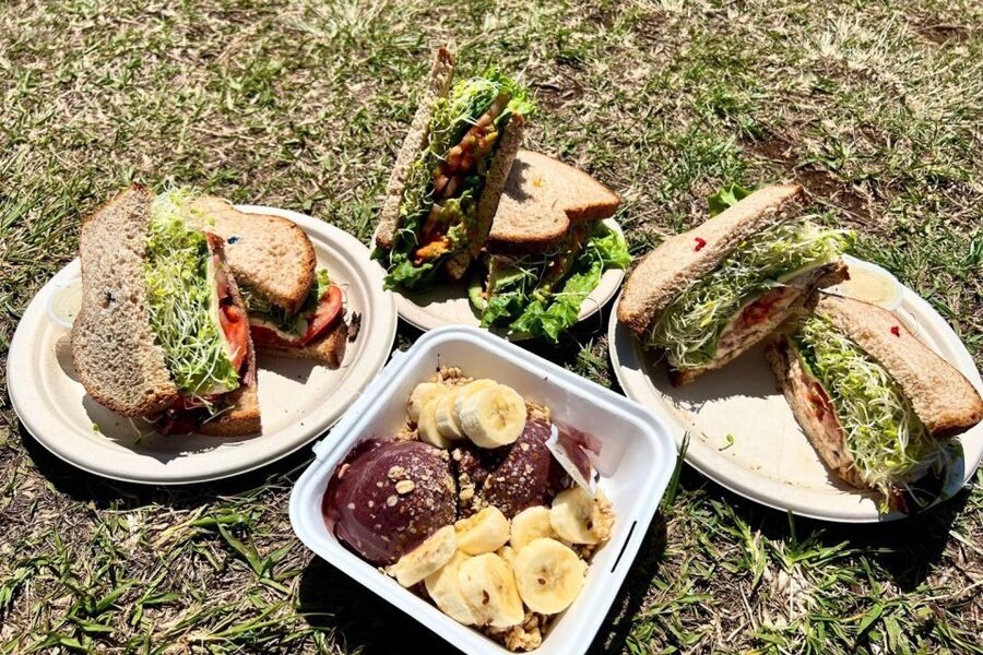 Oahu: Manoa Falls Waterfall Hike with Lunch and Transfers - Wet Trail Reality: What to Expect on the Way Up