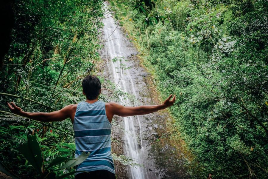 Oahu: Manoa Falls Waterfall Hike with Lunch and Transfers - Lunch at Tantalus Lookout: Diamond Head Views With Real Recovery Time