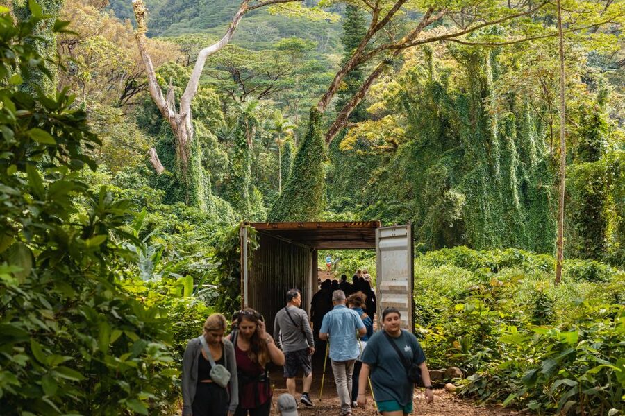 Oahu: Manoa Falls Waterfall Hike with Lunch and Transfers - The Trail Through Manoa Valley: Rainforest, Bamboo, and Bird Sounds