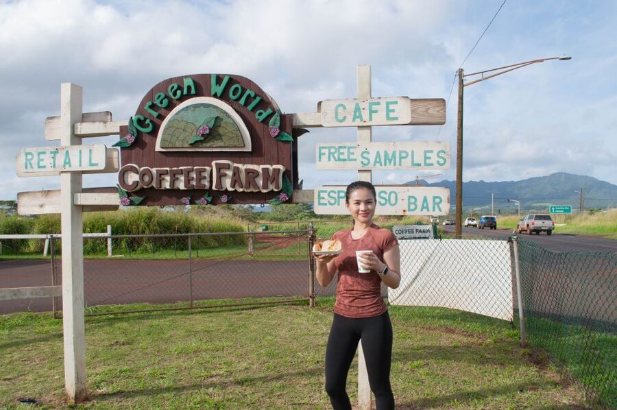 Oahu: Valley of Waimea Falls Swim & Hike with Lunch & Dole - Key things I’d bet on