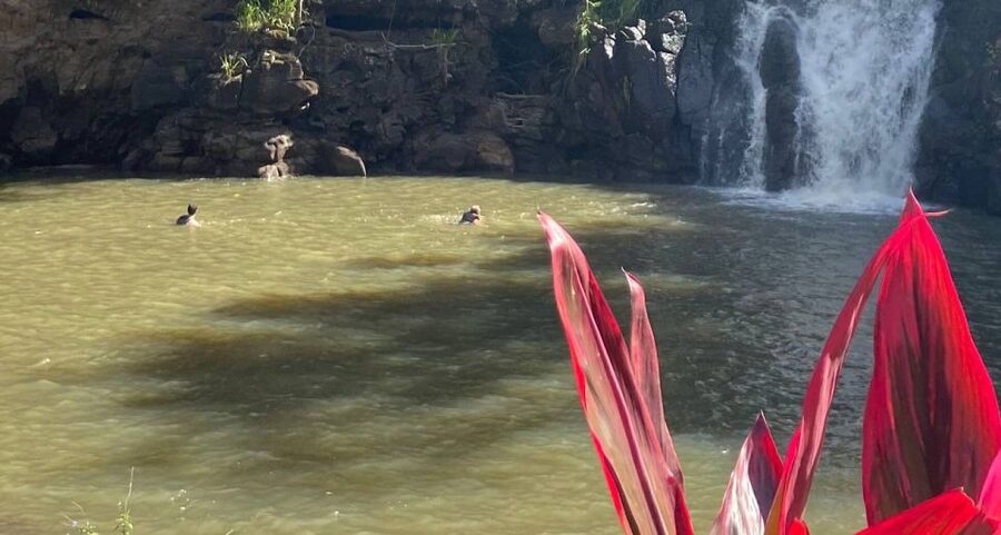 Oahu: Valley of Waimea Falls Swim & Hike with Lunch & Dole - Lunch inside Waimea Valley: picnic-style, with real choices