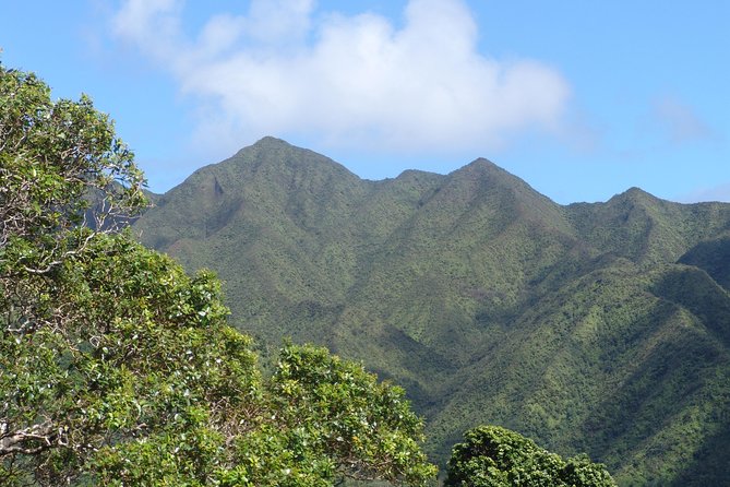 Oahu Volcanic Rainforest Hiking Adventure - Why the Ko’olau rainforest hike feels different from beach Hawaii