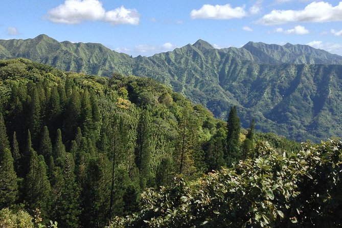 Oahu Volcanic Rainforest Hiking Adventure - Gear made for wet rainforest: poncho, repellent, hip pack, and shoes