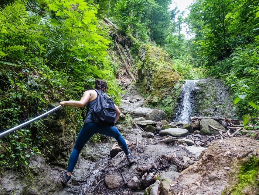 One Day Wonder Hike - The Essence of the Danube Bend - The downhill that feels like nature therapy