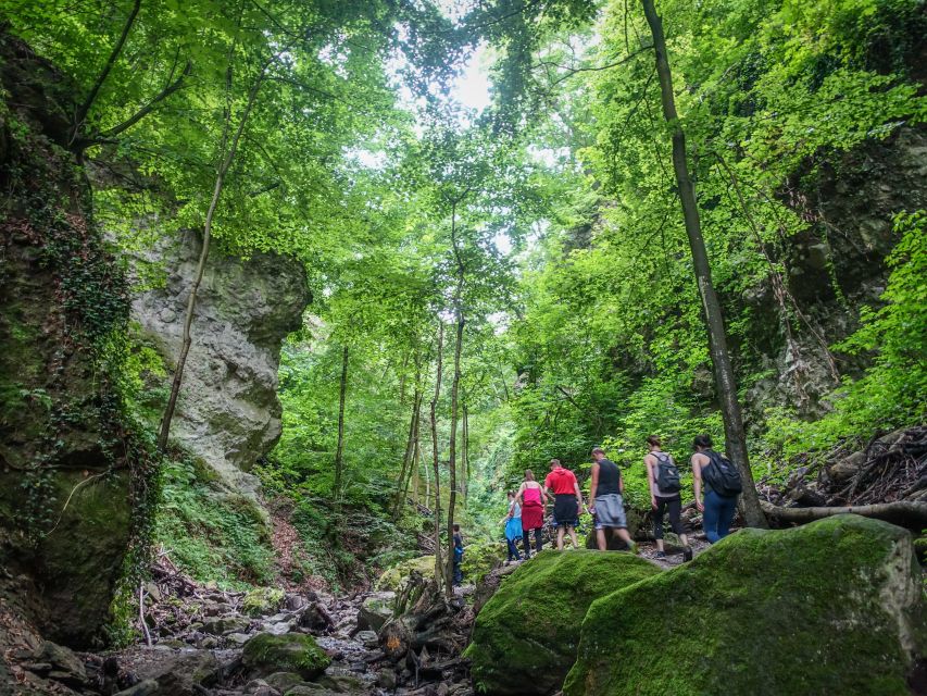 One Day Wonder Hike - The Essence of the Danube Bend - Ram gorge: 30-meter rock, waterfalls, and ladder-and-rail climbing