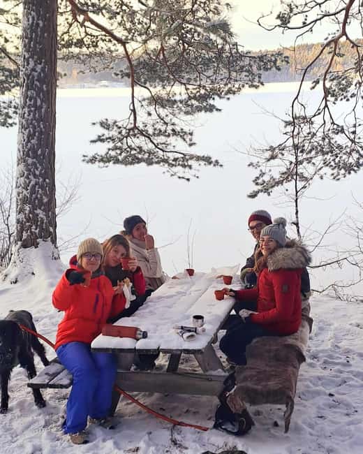 Oslo: Scenic Forest Hike with Dog & Local Guide - The 2.5-hour loop: viewpoint first, lake break, then quiet trails