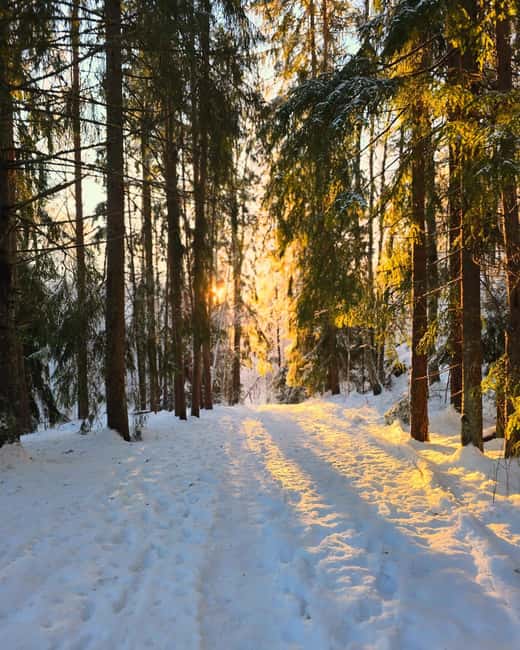 Oslo: Scenic Forest Hike with Dog & Local Guide - Who should book this hike, and who should skip it