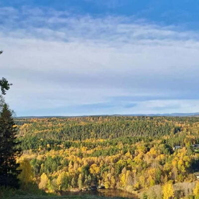 Oslo: Winter Wonderland Forest Hike and Campfire with a Dog - Meeting Ingunn and Nero: the personal touch that makes it