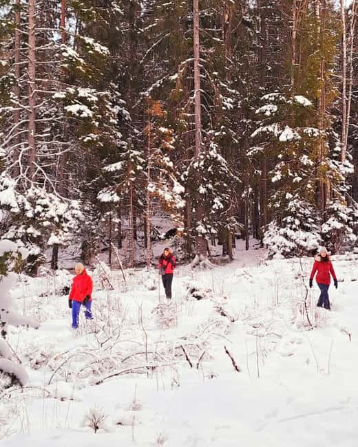 Oslo: Winter Wonderland Forest Hike and Campfire with a Dog - Viewpoint climb: your first big winter reward