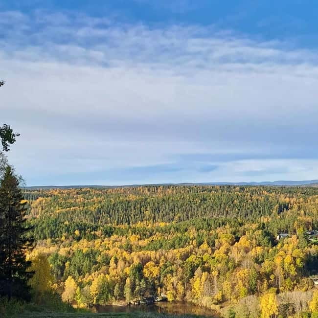 Oslo: Winter Wonderland Forest Hike and Campfire with a Dog - Meeting Ingunn and Nero: the personal touch that makes it
